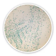 Agar cromogen m-EI (Bază), pentru microbiologie, 100 g, plastic