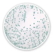 Agar cromogen MRSA (Bază), pentru microbiologie, 100 g, plastic
