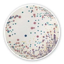Agar cromogen UTI, pentru microbiologie, 100 g, plastic