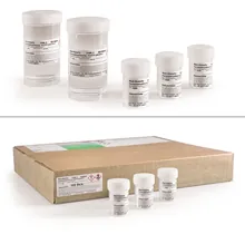 Recipiente preumplute ROTI®Histofix,, 100 unitate(ăți), 100 x 10 ml, 4 % formaldehidă