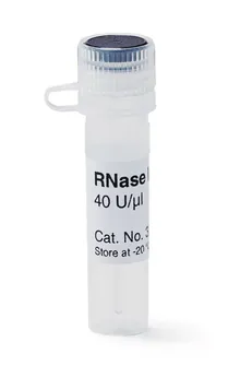 Inhibitor de RNAză, 40 U/µl, pentru Biochimie și Biologie Moleculară, 50 µl