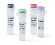 Ligază T4, 5 U/µl, pentru Biologie Moleculară, 100 µl, plastic