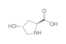 L-4-Hidroxiprolină, min. 99 %, pentru biochimie, 5 g, sticlă