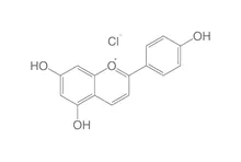 Clorură de apigenidină, ROTICHROM® HPLC, 10 mg, sticlă