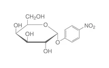 4-Nitrofenil-alfa-D-galactopiranozidă, pentru biochimie, 1 g, sticlă