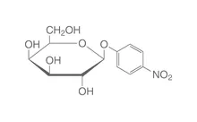 4-Nitrofenil-beta-D-galactopiranozidă, min. 98 %, pentru biochimie, 2.5 g