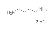 Diclorhidrat de putrescină, min. 97 %, pentru biochimie, 10 g, sticlă
