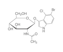 5-Bromo-4-cloro-3-indoxil-N-acetil-β-D-glucozaminidă, 100 mg, >=99,5 %