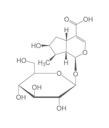 Acid loganic, ROTICHROM® HPLC, 20 mg, sticlă