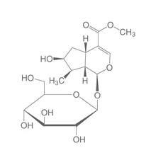 Loganin, ROTICHROM® HPLC, 20 mg, sticlă