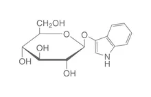 3-Indoxil-beta-D-glucopiranozidă, min. 99 %, pentru biochimie, 1 g, sticlă