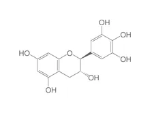 (-)-Galocatechină, ROTICHROM® HPLC, 20 mg, sticlă