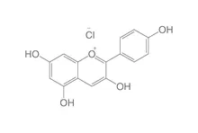 Clorură de pelargonidină, ROTICHROM® HPLC, 10 mg, sticlă