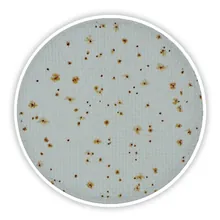 Compact Dry TC, steril, pentru microbiologie, 240 unități, blister