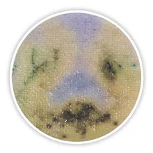 Compact Dry SL, steril, pentru microbiologie, 40 unități, blister