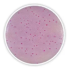 Compact Dry ETB, steril, pentru microbiologie, 240 unități, blister