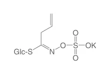 Sinigrină monohidrat, ROTICHROM® CHR, 250 mg, sticlă