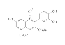 Clorură de cianină, ROTICHROM® TLC, 25 mg, sticlă