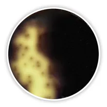 Agar Oxford Listeria (Bază), ISO 11290-1, pentru microbiologie, 500 g, plastic