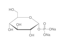 α-D-Glucoză-1-fosfat sare disodică tetrahidrat, 10 g, >=98 %