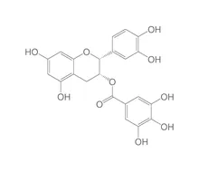 (-)-Epicatechin galat, ROTICHROM® HPLC, 10 mg, sticlă