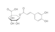 Acid clorogenic, min. 95 %, 1 g, sticlă