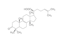 Acid beta-elemonic, ROTICHROM® HPLC, 10 mg, sticlă