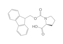 Fmoc-L-prolină monohidrat, PEPTIPURE®, min. 99 %, pentru biochimie, 250 g