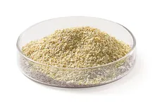 Mediu LB (Lennox), granulat, granulat, pentru biologie moleculară, 5 kg, plastic
