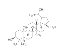 Acid betulinic, ROTICHROM® HPLC, 25 mg, sticlă