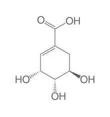 Acid shikimic, ROTICHROM® CHR, 1 g, sticlă