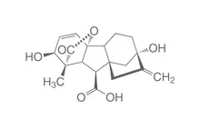 Acid giberelic, ROTICHROM® CHR, 1 g, sticlă