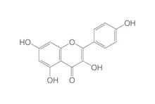 Kaempferol, ROTICHROM® HPLC, 50 mg, sticlă