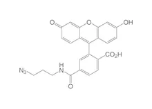 6-FAM-Azidă, min. 95 %, 10 mg, plastic