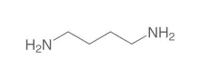 Putrescină, min. 99 %, pentru biochimie, 100 g, sticlă