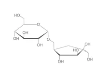 Izomaltuloză, min. 98%, pentru biochimie, 100 g, plastic
