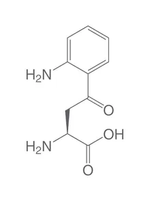 L-Kinurenină, min. 98 %, pentru biochimie, 250 mg, sticlă