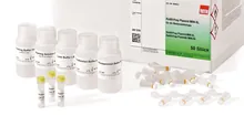 ROTI®Prep Plasmid MINI-XL, 50 preparate, pentru biologie moleculară, carton