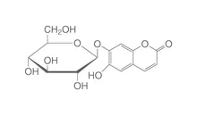 Esculină sesquihidrat, min. 97,5 %, DAB, pentru biochimie, 100 g, plastic