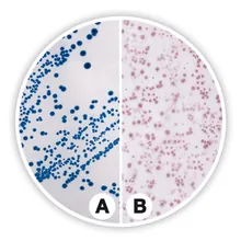 Agar cromogenic pentru Coliformi (ISO), ISO 9308-1, ISO 11133, pentru microbiologie, 500 g