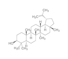 Lupeol, ROTICHROM® HPLC, 20 mg, sticlă