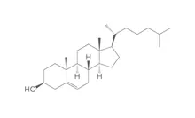Colesterol, min. 95 %, Ph.Eur., pentru biochimie, 100 g, plastic