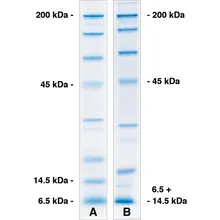 ROTIPHORESE®PAGE Matrix Buffer plus, 4x tampon matrice SDS-PAGE, 250 ml, plastic
