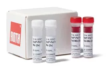 ROTI®Pol TaqS Mix (2x), gata de utilizare, conc. 2x, 10 ml, plastic