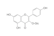 Kaempferol-3-glucozidă, ROTICHROM® HPLC, 5 mg, sticlă