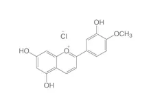 Clorură de diosmetinidină, ROTICHROM® HPLC, 10 mg, sticlă