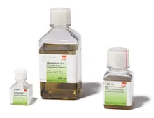 Soluție de albumină 20 %, sterilă, pentru biochimie și biologie celulară, 500 ml