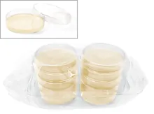 Placă ROTI®Aquatest PCA, APHA, ISO 4833, gata de utilizare, steril, pentru microbiologie