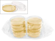 ROTI®Aquatest Placă Sab4, gata de utilizare, sterilă, pentru microbiologie, 30 unit(s)