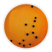 Agar Deoxycholate Citrate, pentru microbiologie, 500 g, plastic